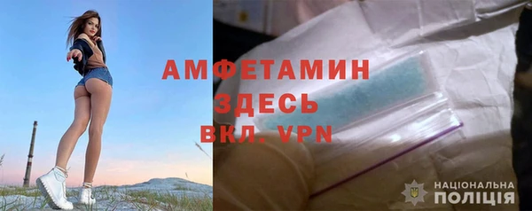 крисы Каменногорск