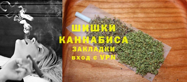 PSILOCYBIN Инта