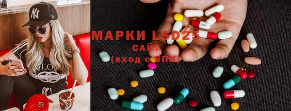 крисы Каменногорск