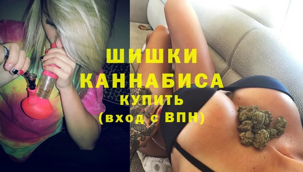 крисы Каменногорск