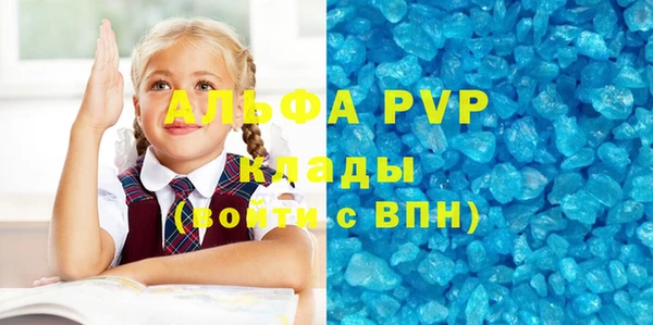 PSILOCYBIN Инта