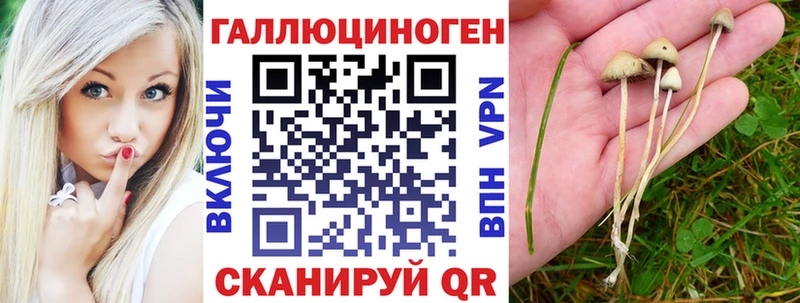 Галлюциногенные грибы прущие грибы  Купить закладки  Хотьково 